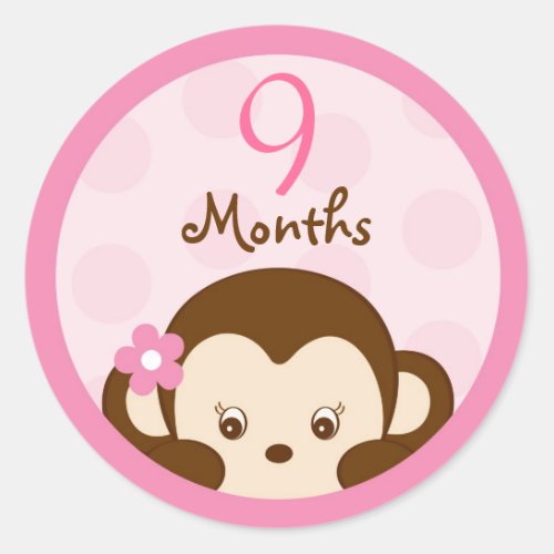 Mod Girl Monkey Monthly Milestone Stickers