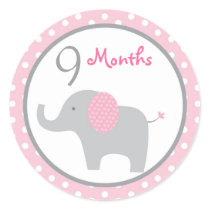 Mod Pink Elephant Girl Monthly Milestone Stickers