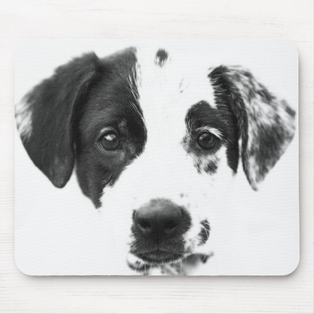 Mod pup mouse pad (Front)