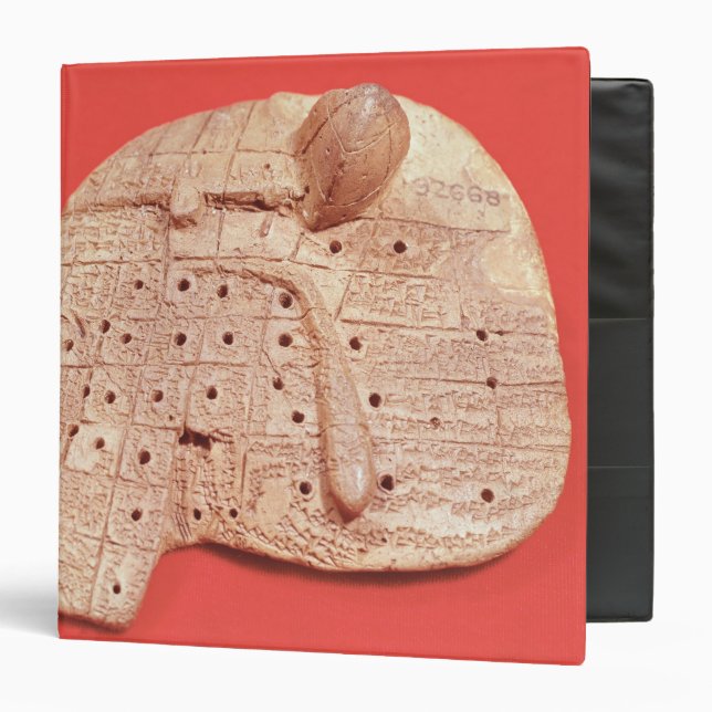 Model of a sheep's liver binder (Front/Inside)