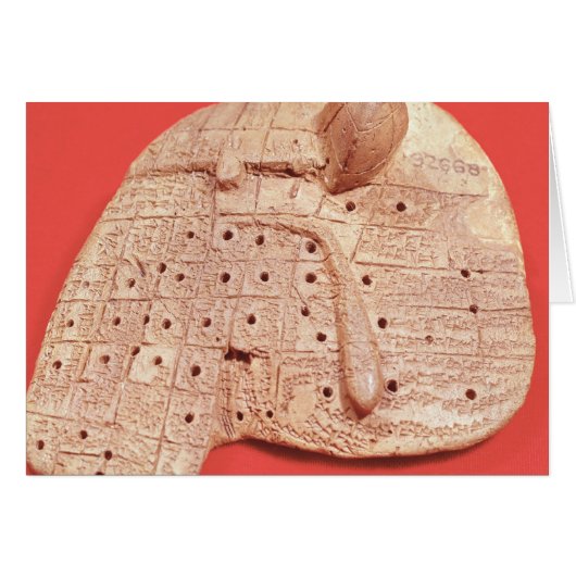 Model of a sheep's liver cards (Front Horizontal)
