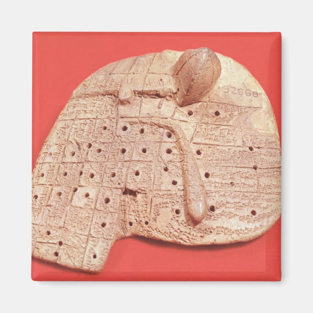 Model of a sheep's liver magnet (Front)