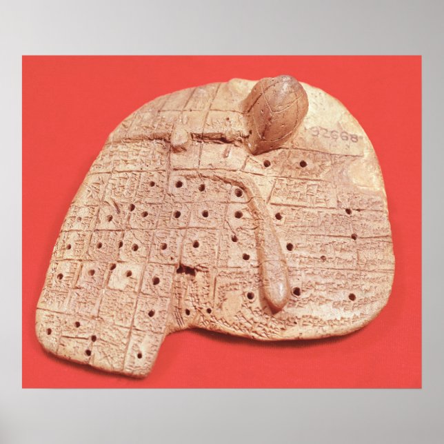 Model of a sheep's liver poster (Front)