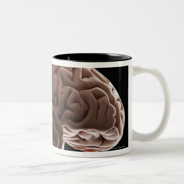 Model of human brain, studio shot Two-Tone coffee mug (Right)
