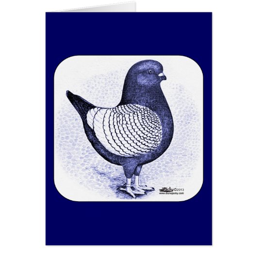 Modena Argent Pigeon Cards (Front)