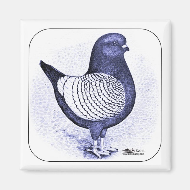 Modena Argent Pigeon Magnet (Front)