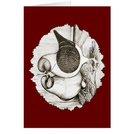 Modena Gazzi Pigeons (Front)