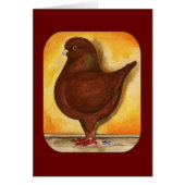 Modena Red Schietti Pigeon (Front)