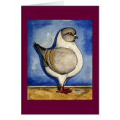 Modena Silver Gazzi Pigeon (Front)