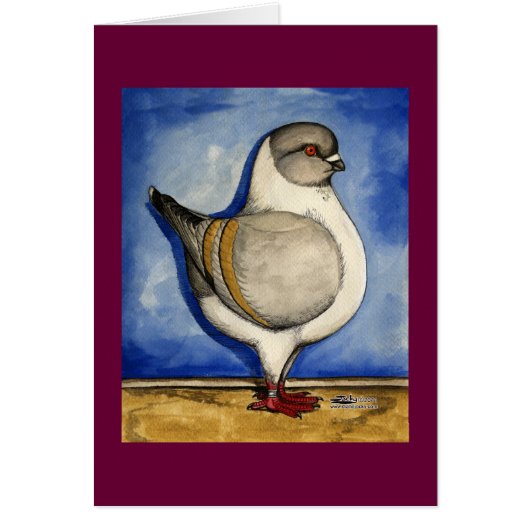 Modena Silver Gazzi Pigeon Cards (Front)