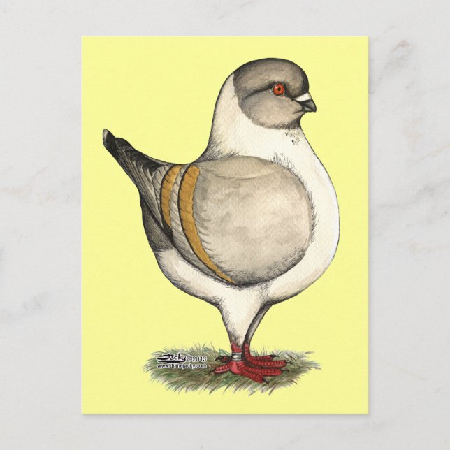 Modena Silver Gazzi Postcard (Front)