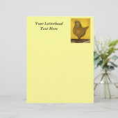 Modena Yellow Schietti Pigeon (Standing Front)