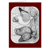 Modenas Two Pigeons (Front)