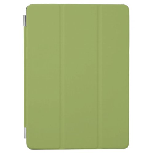 Moderate Lime Green Solid Color iPad Air Cover