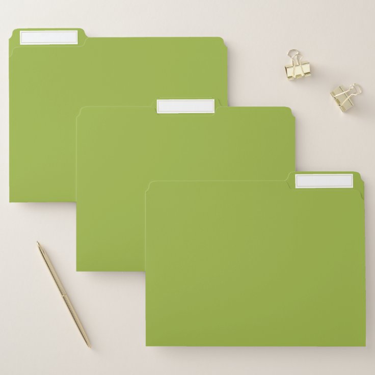 Moderate lime green (solid color) yellow green File Folder Zazzle