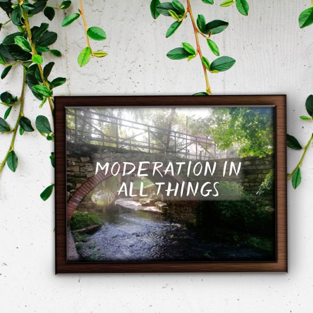 Moderation in all things quote bridge poster (Creator Uploaded)