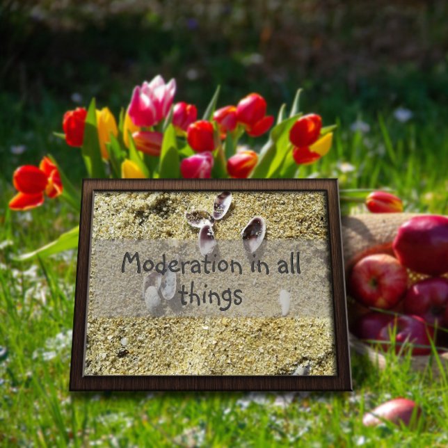 Moderation in all things wisdom saying poster (Creator Uploaded)