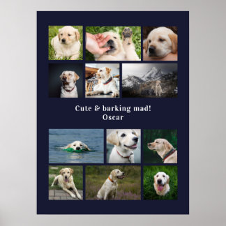 Modern 12 dog photo personalized collage poster
