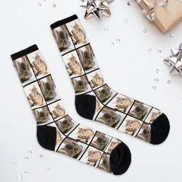 Modern 2 Cat Photo Collage Grid Socks