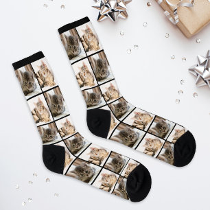 Modern 2 Cat Photo Collage Grid Socks