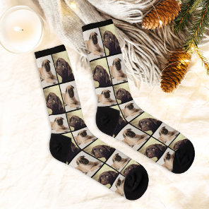 Modern 2 Dog Photo Collage Grid Socks