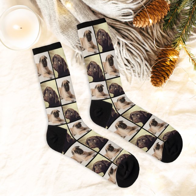 Modern 2 Dog Photo Collage Grid Socks (Creator Uploaded)
