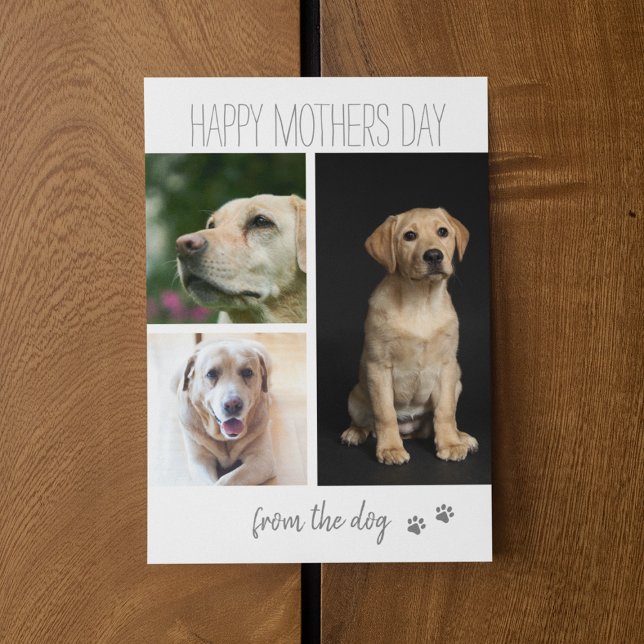 Modern 3 Photo Collage | From The Dog Holiday Card (Creator Uploaded)