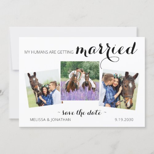 Modern 3 Photo Horse Pet Wedding Engagement  Save The Date