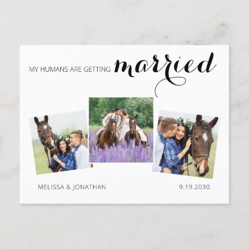 Modern 3 Photo Horse Pet Wedding Save The Date Announcement Postcard