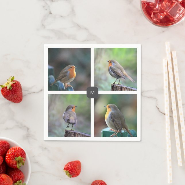 Modern 4 robin bird photos monogrammed napkins (Insitu)
