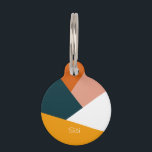 Modern abstract geometric color block pattern pet ID tag<br><div class="desc">Colorful geometric combination.</div>
