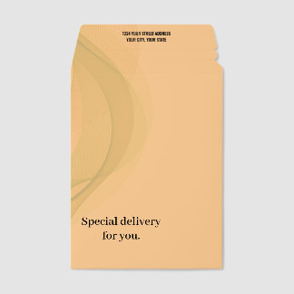Modern Abstract Navajo White Background Envelope Mailers