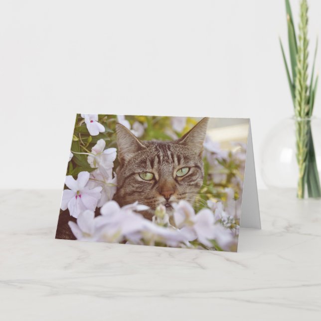 Modern Adorable Cat Lover Garden Greeting Card (Front)