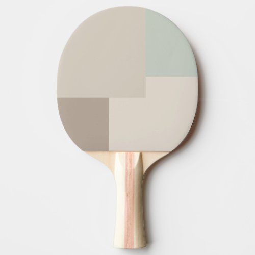 Modern Aesthetic Abstract Color Block Paddle