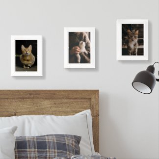 Modern Aesthetic Cat Gallery Wall Art Set