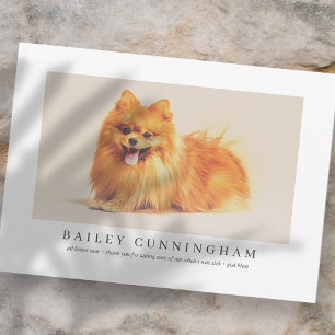Modern And Simple Photo Pet Thanks Vet Nurses Thank You Card