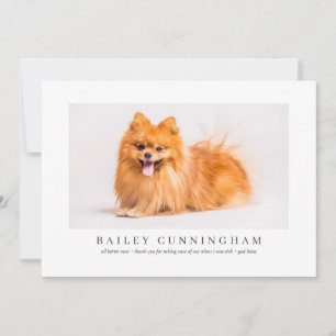 Modern And Simple Photo Pet Thanks Vet Nurses Thank You Card
