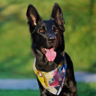Modern Art Abstract Kandinsky Yellow Red Blue Pet Bandana Collar