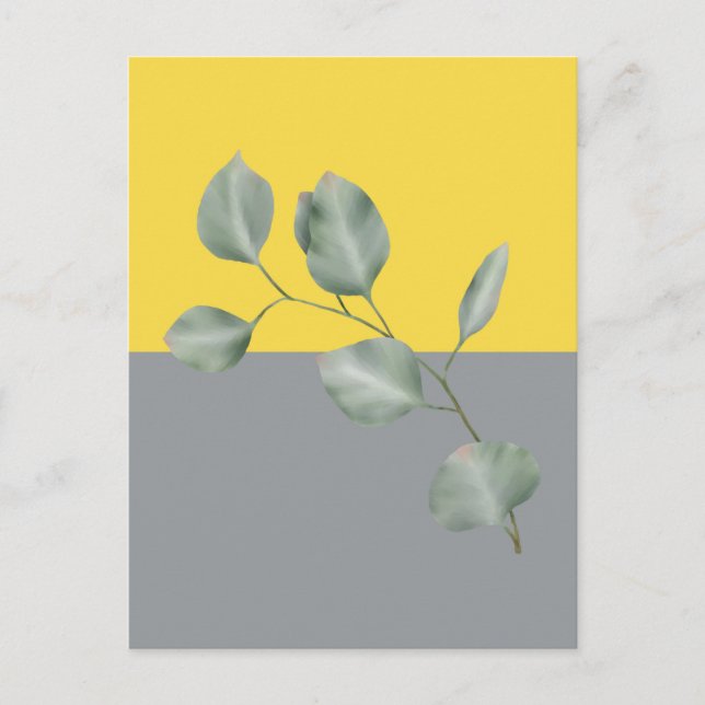 Modern Art Eucalyptus Leaves Postcard (Front)