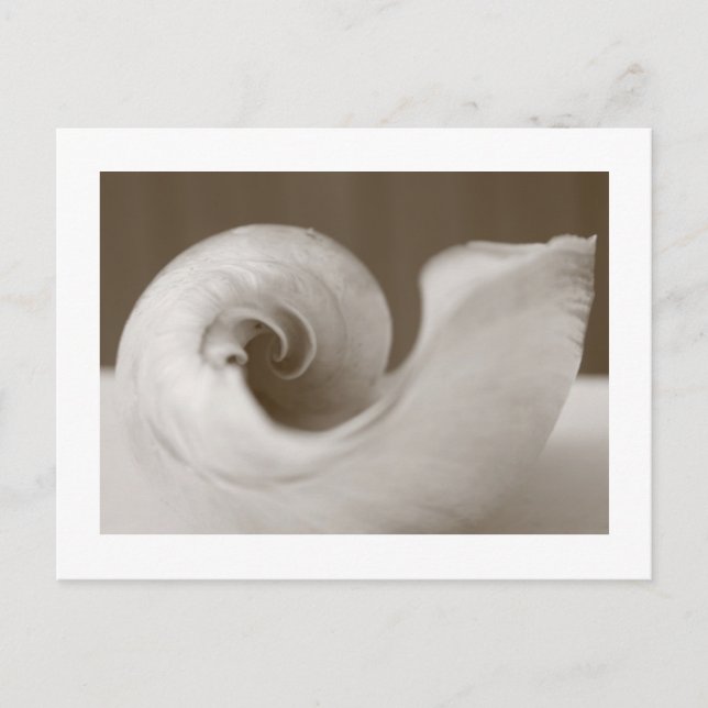 Modern Art Postcard (Front)