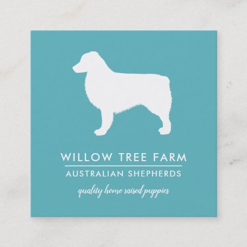 Modern Australian Shepherd Breeder  Social Media Square Business Card