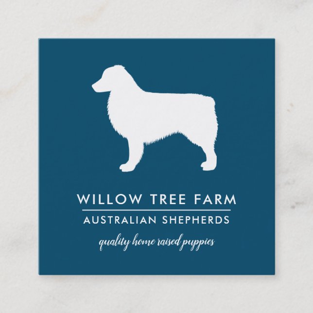 Modern Australian Shepherd Breeder | Social Media Square Business Card (Front)