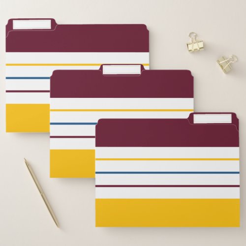 Modern Autumnal Stripes File Folder