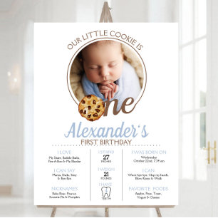 Modern Baby photo First Birthday Milestone Foam Board