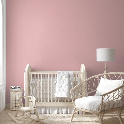 Modern Baby Pink Solid Color Peel and Stick Wallpaper