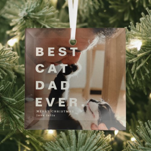 Modern BEST CAT DAD EVER Custom Photo Glass Ornament