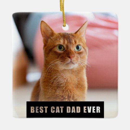 Modern Best Cat Dad Ever Photo Christmas Ceramic Ornament