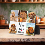 Modern Best Dog Ever Photo Collage | Pet Plaque<br><div class="desc">A modern photo collage plaque for your beloved pet. Whether it be a dog,  cat,  rabbit or bird. A simple desgin of 5 photos and text that can easily be customized. Would look fantastic in any home and would also make a great gift.</div>