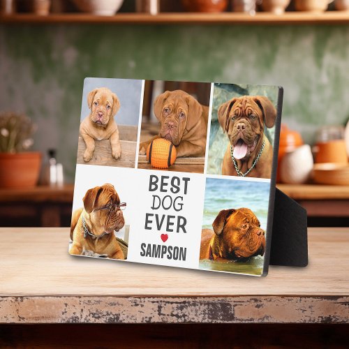 Modern Best Dog Ever Photo Collage  Pet Plaque