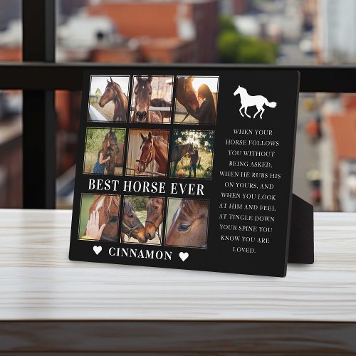 Modern Best Horse Ever Photo Collage  Quote Plaque